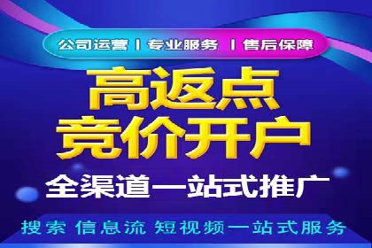 某知名品牌网络推广竞价全解析